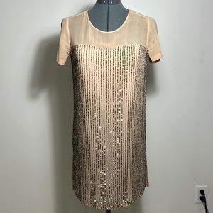 Club Monaco Silk Sequin Dress